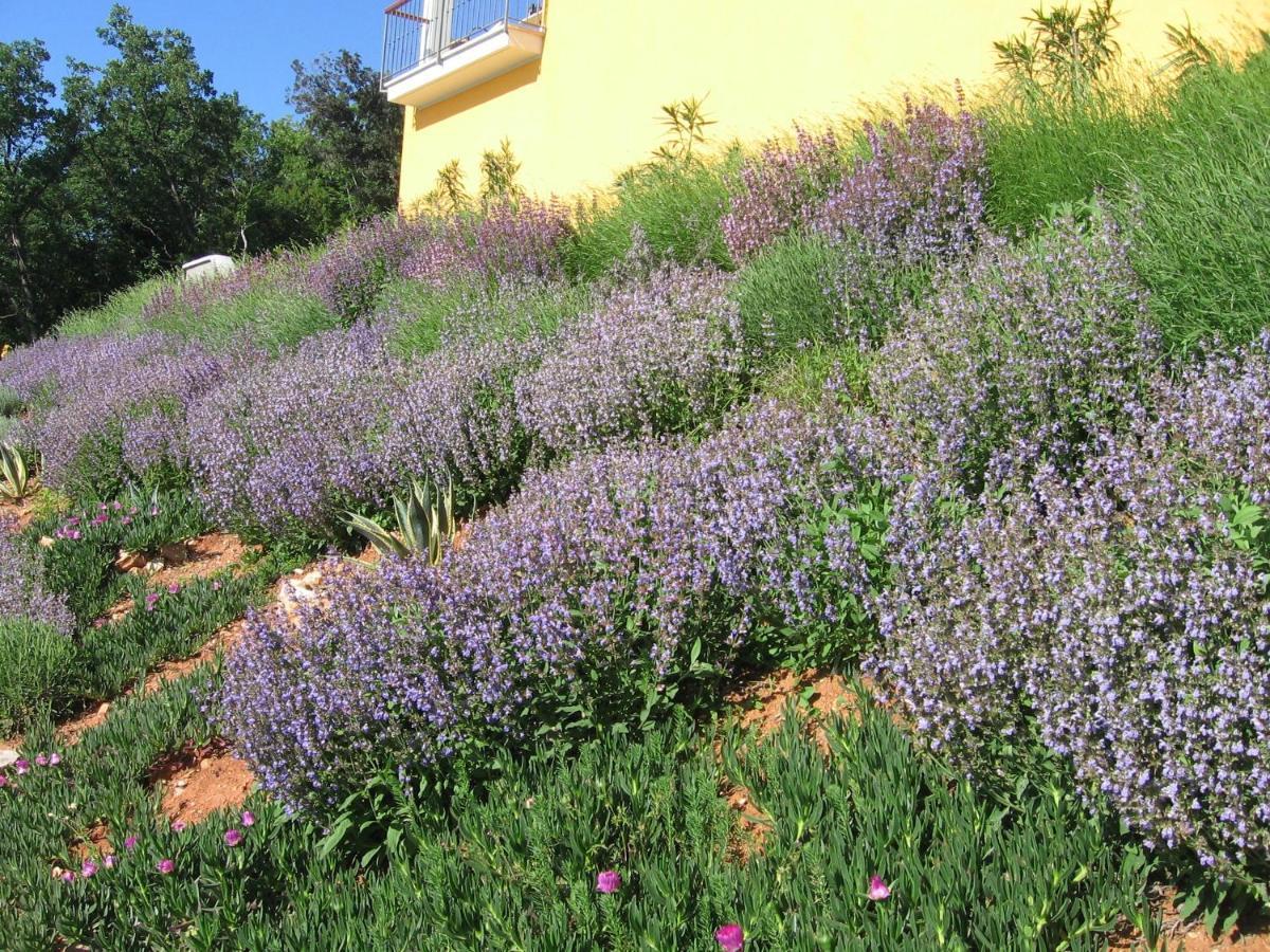 Villa Katarina Mošćenička Draga المظهر الخارجي الصورة